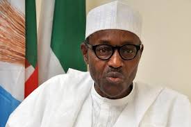 Cleanup Flag-off: President Buhari’s Commitment to Ogoni Fell Short of Expectations  By Fegalo Nsuke