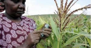 How ICT tools are improving efficiency of agricultural development