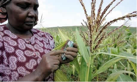 How ICT tools are improving efficiency of agricultural development