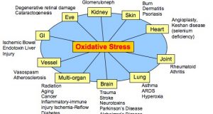 Understanding Oxidative Stress