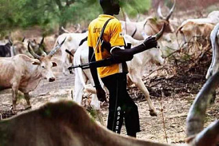 Herdsmen-Farmers Crisis: A Fallout of Climate Change