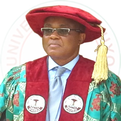 UNIUYO VC, Researchers Hinge On Creativity, Innovation For National Development