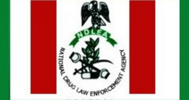 NDLEA Arrests 75-year-old Man, 21 Others For Hard Drugs