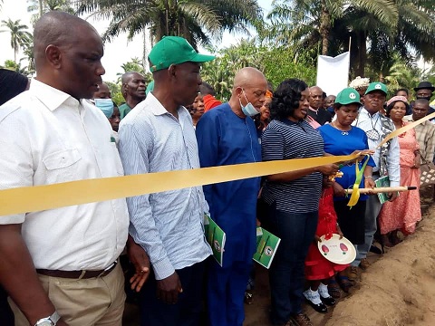 A’Ibom Ministry Of Agriculture Flags-Off Ginger Cultivation In AKS