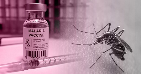 WHO Backs Rollout Of World’s First Malaria Vaccine For Children in Africa