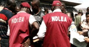 May 29: NDLEA Raids Drug Joints Nationwide, Arrests 534