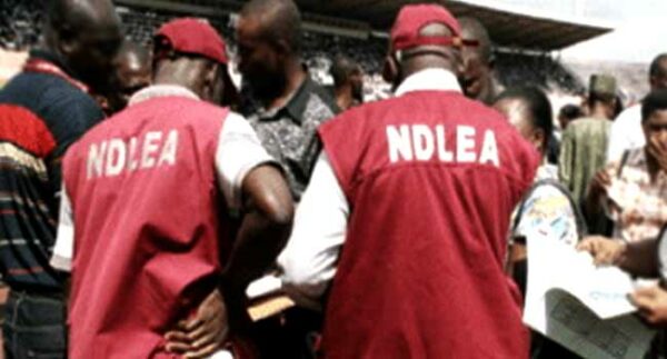 NDLEA Arrests Drug Baron Behind N3bn Tramadol linked to Abba Kyari’s Team