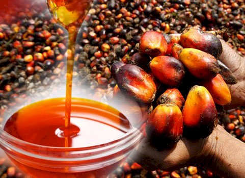 Oil Palm As A Major Foreign Exchange Earner