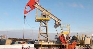 Nigeria To Assist Gambia Explore Oil Resources