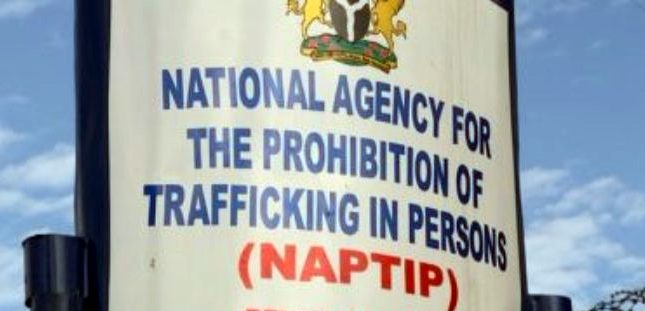 NAPTIP, Turkish Group Alert On Trafficking Of Nigerians To Northern Cyprus