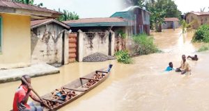 Flood: 4,885 Ogun Houses Submerged, FG Absolves Cameroon