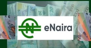 Only 5% Of Abuja Residents Use e-Naira App For Transactions – Report