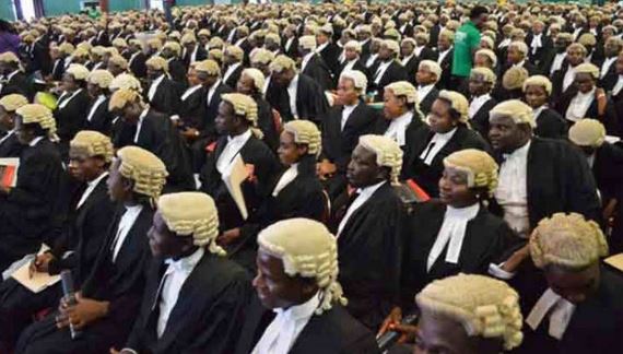 Benchers Warn Against Proliferation Of Law School Campuses