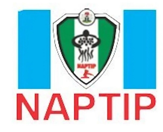 NAPTIP Rescues 1,660 Trafficked Persons, Activist Lauds Agency