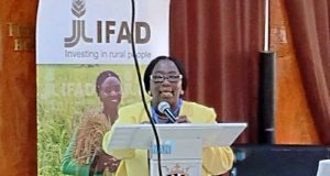 Poverty Reduction: IFAD/FG Launch Strategic Opportunities Programme 2024-2029