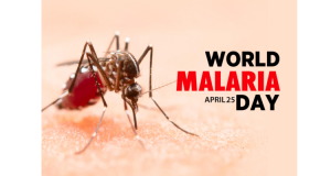 World Malaria Day: Nigerian Children To Get Vaccine In April 2024