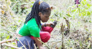 Exploring Green Skills Among Youths For Sustainable Environment