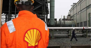Reverse Policy Scaling Down Renewable Energy Investment, Shell Urged