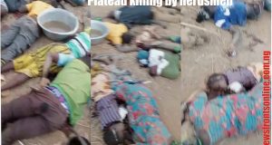 End This Cold-blooded Massacre On The Plateau Now