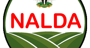 NALDA Commissions 120 Housing Units, Empowerment Centres For Borno Farmers