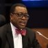 $824bn Resource-Backed Loans Slowing Africa’s Growth – AfDB President